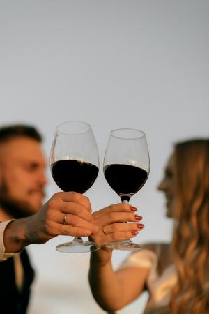 Brindisi con due bicchieri di rosso